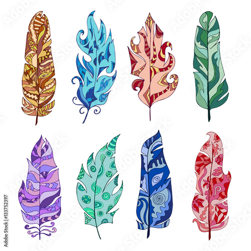 Set of colorful ethnic feathers