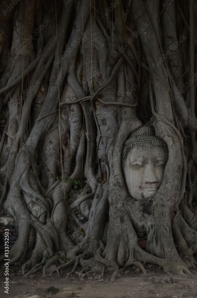 Wat Mahathat in Ayutthaya / Thailand 