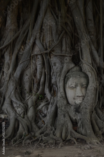 Wat Mahathat in Ayutthaya / Thailand 