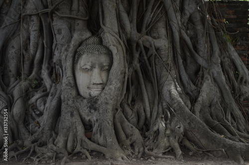 Wat Mahathat in Ayutthaya / Thailand 