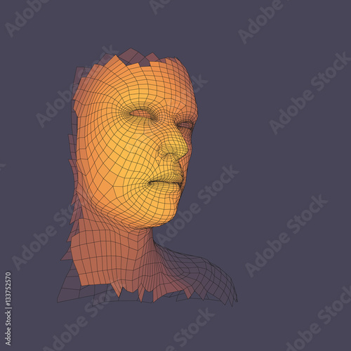 Head of the Person from a 3d Grid. View of Human Head.