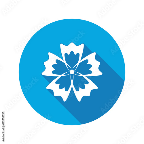 Photos Cornflower, blue poppy, centaury, knapweed flower icons
