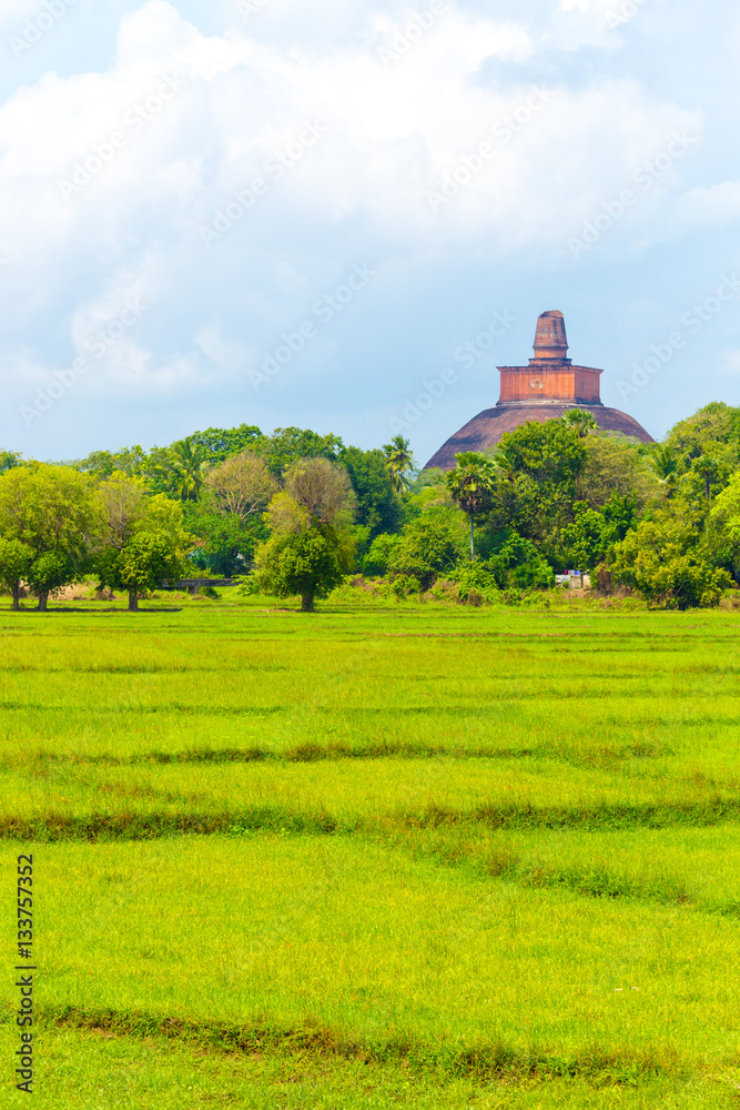 Anuradhapura Jetavanaramaya Stupa Distant V