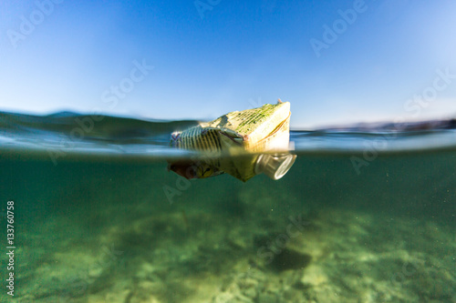 Foto Trash, cans in sea, pollution, ocean, Adriatic