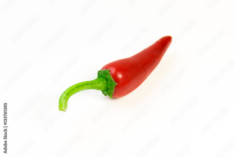 One ripe red Chilli pepper on over white