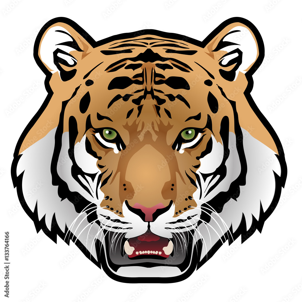 Fototapeta premium Tiger head on white background vector illustration.