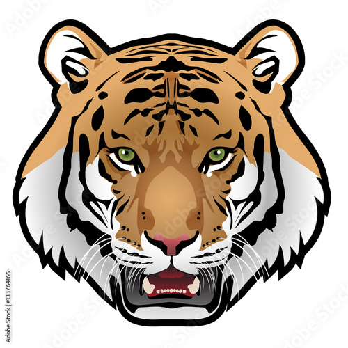Fototapeta Naklejka Na Ścianę i Meble -  Tiger head on white background vector illustration.