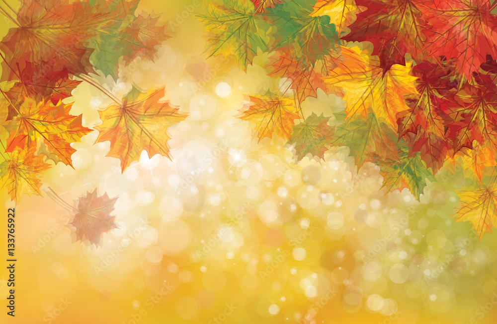 Vector autumnal leaves on bokeh background, blurred effect. Vector autumnal leaves on bokeh background, blurred effect.