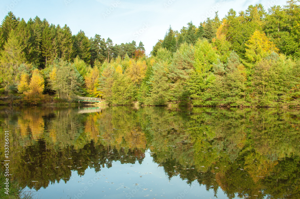 Autumn reflections in the Forest of Dean, England.