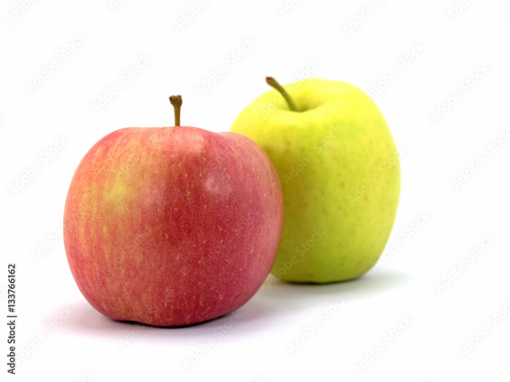 Äpfel,  Malus