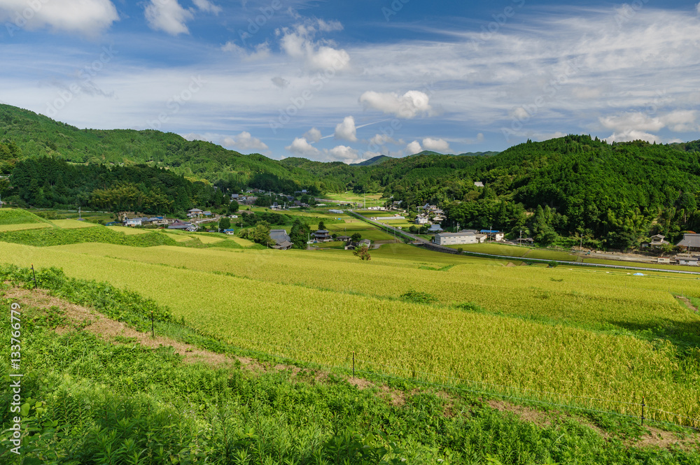 japanese landscape - hase no tanada - nose - osaka