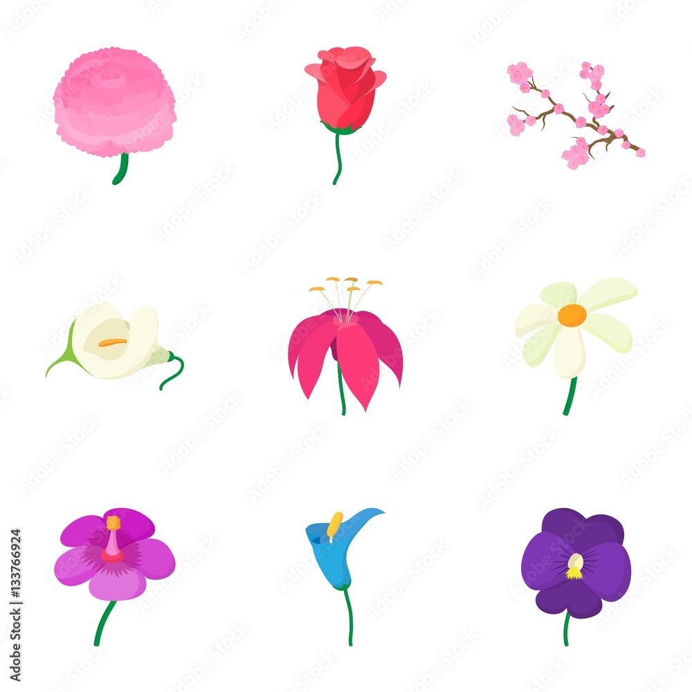 Kinds of flowers icons set, cartoon style