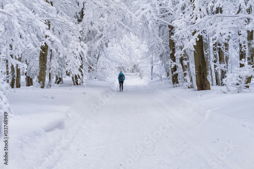 Groomed ski trails for cross country skiing with single cross-co