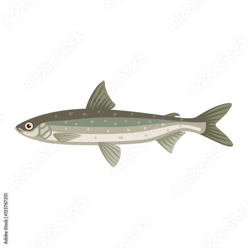 Coregonus albula vendance cisco fish