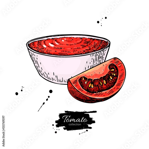 Tomato sauce Drawing. Vector isolated illustration with bowl full of pasta and tomato