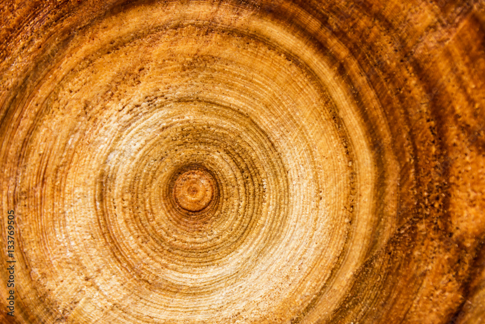 Naklejka premium Rings sawn wood