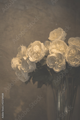 White rose flower, vintage filter image style