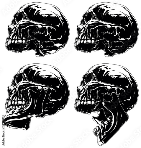 Detailed graphic black and white skull in profile projection set