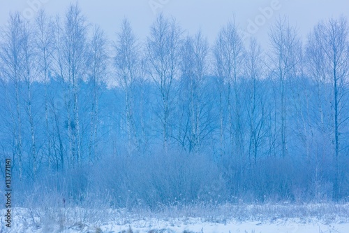 Polish typical winter rural landscape