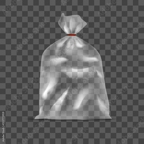 Template Blank Transparent Polyethylene Pack Bag. Vector