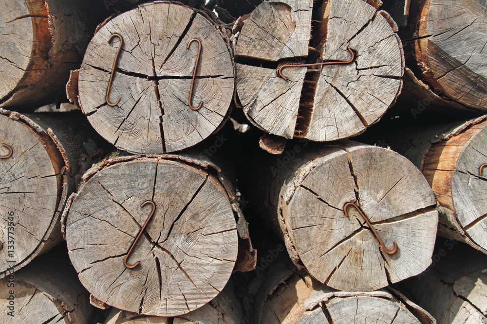 Naklejka premium Holz