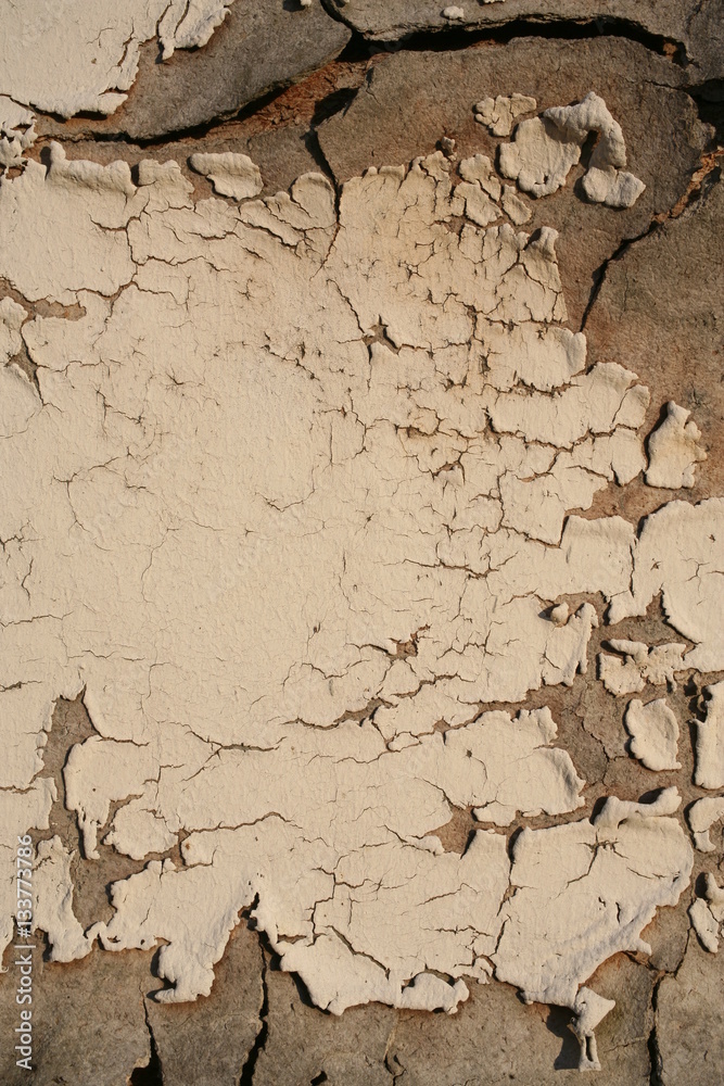 Obraz premium texture