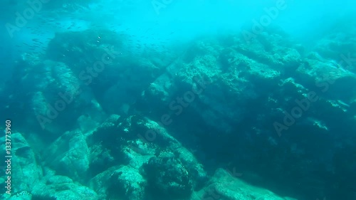 Underwter footage of a cliff face and shoal of fish photo