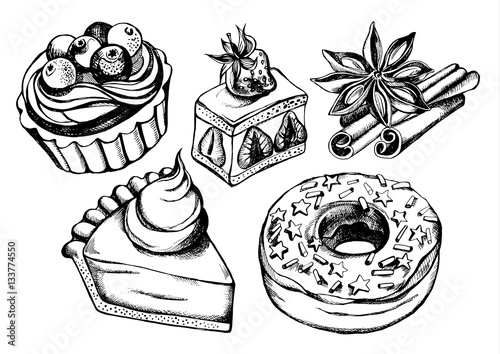 Hand drawn set of pastry and spices - tartlet with berries, strawberry cake, piece of pumpkin pie, sprinkled donut, cinnamon sticks and star anise. Vector Illustration.