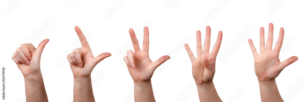 Mit Fingern zählen, Hände zeigen 1-5 Mit Fingern zählen, Hände zeigen 1-5