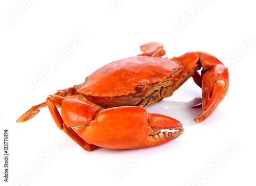 Steamed Crab on white background.