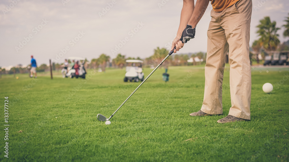 Fototapeta premium Closeup view of active man holding club playing golf on palm tree grass field outdoors background.