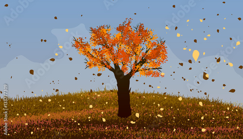 Autumn. Deciduous tree with orange leaves on the hill.