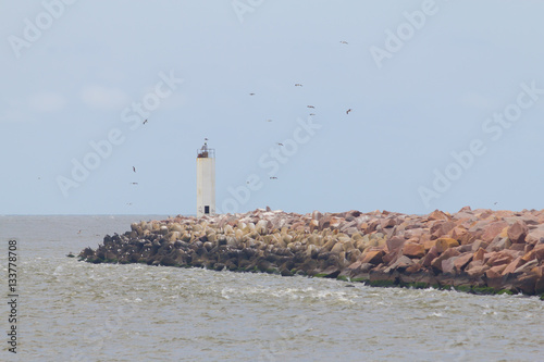 lighthouse on breakwater at Cassino beach