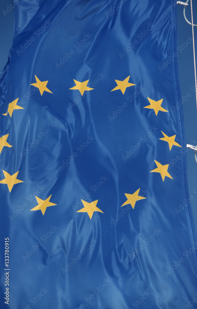 Flag of the European Union Flag of the European Union