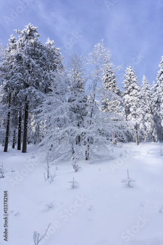 Winter landscape, trees in mountains covered with hoarfrost 