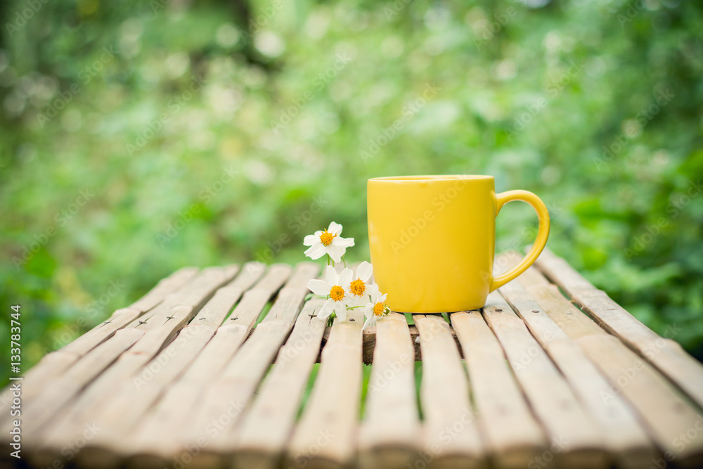 Coffee espresso background in garden. Coffee espresso background in garden.