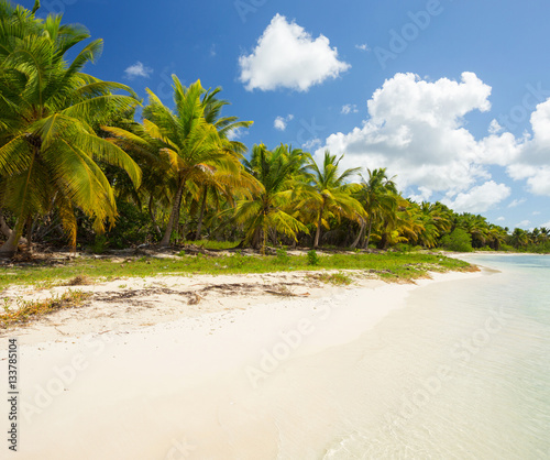Saona Island Landscape, Punta Cana, Dominican Republic