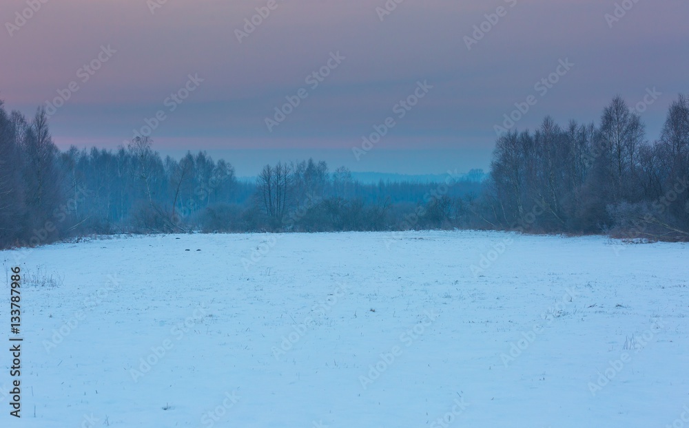 Polish typical winter rural landscape Polish typical winter rural landscape