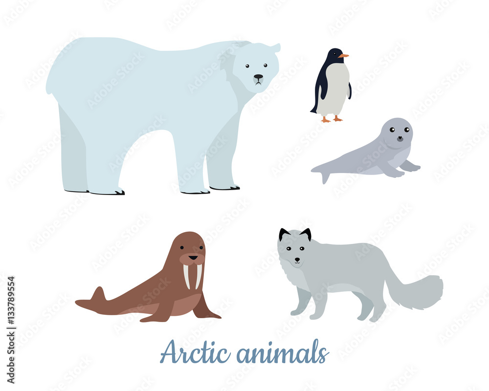 Set of Arctic Animals Illustrations in Flat Design
