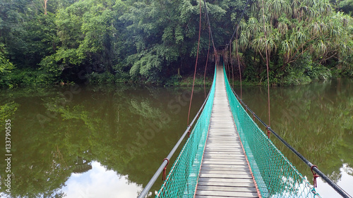 The suspension bridge over the lake at Rainforest Discovery Centre In Sepilok, Borneo photo