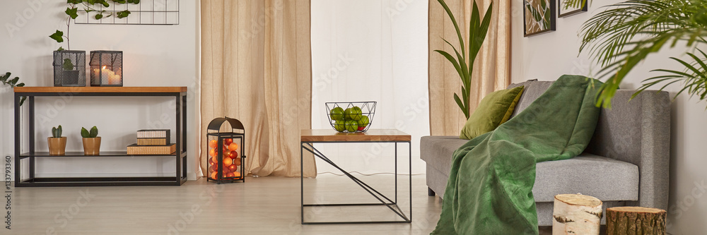Fotografie Modern living room