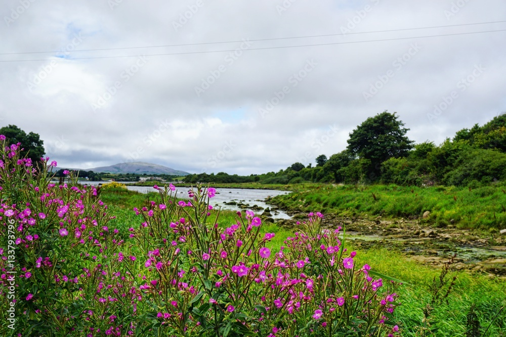 auf Irischen Straßen, Natur, Seen, Küste von Irland auf Irischen Straßen, Natur, Seen, Küste von Irland