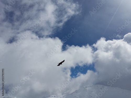 Big Bird on cloudy sky