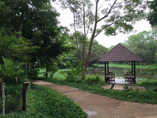 The terrace near swamp with the pave road to the forrest