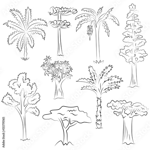 Hand Drawn Set of Trees. Doodle Drawings of Palms, Sequoia, Aloe, Acacia, Ceiba  in Sketch Style. Vector Illustration.