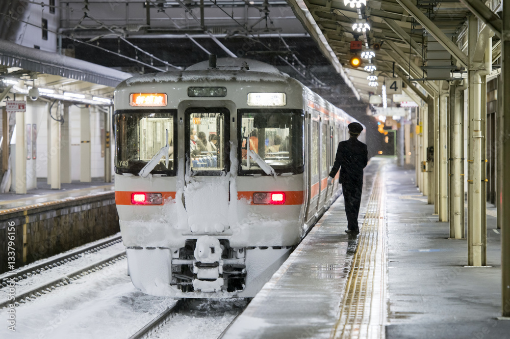 Obraz premium 大垣駅・雪の夜