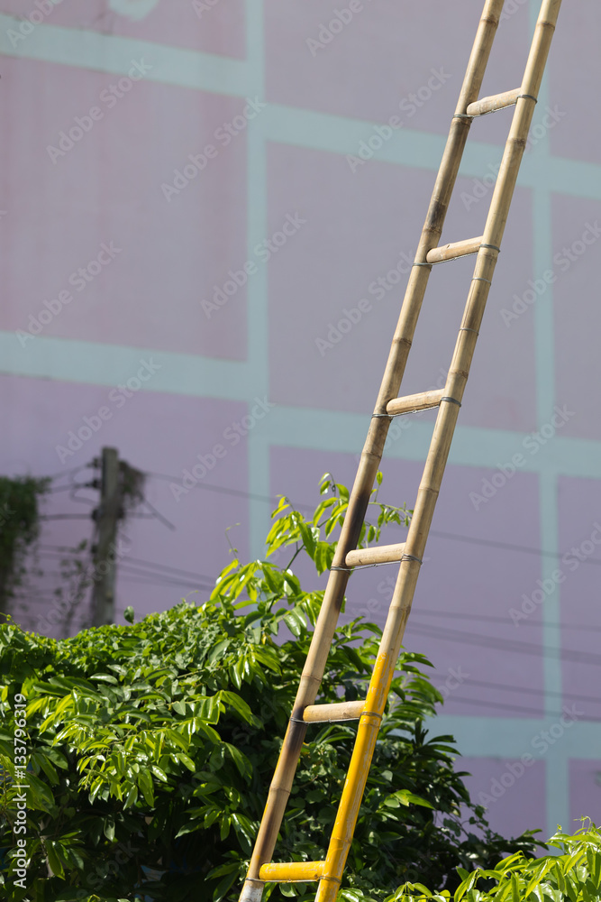 Naklejka premium bamboo ladder