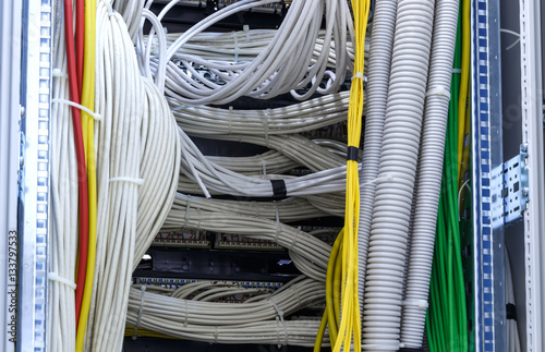 Large group of lilac utp Internet cables in Data Center photo