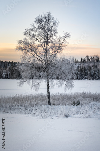 Ice cold winter land © Magnus