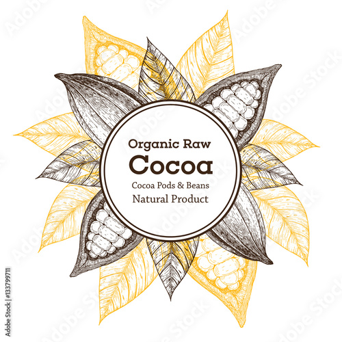 Design template with cocoa pods. Circle concept for advertising label.  Hand-drawn vector illustration